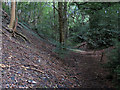 Footpath south-west of Hagg Bank