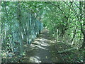 Public footpath approaching Dearne Valley country park