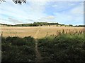 SP2932 : Footpath from Long Compton towards Redcliff Hill by AJD