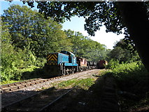 SO6302 : Dean Forest Railway in Lydney by Gareth James