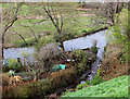 River Piddle at Wareham