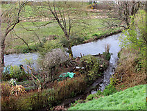 SY9287 : River Piddle at Wareham by Derek Harper
