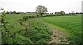 Field path to Todwick