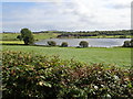 Grassy field on the northern slopes of Drumboy Lough