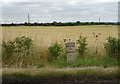 Milestone on the A338 near East Hanney