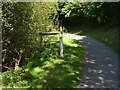 Path by Shutterton Brook (6) with flood depth indicator