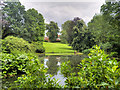 The Lower Pool at Wightwick Manor