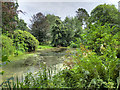 Lake at Wightwick Manor Gardens