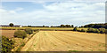 Harvested field near Hutton Bonville