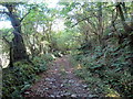 Llwybr ceffyl Ffynnon-wen / Ffynnon-wen bridleway