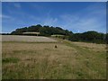 Dawlish Countryside Park and Eastdon Wood