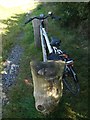 SX9779 : Carved wooden cycle rack, Dawlish Countryside Park by David Smith