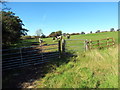 Llwybr ceffyl i Ffarm Blaenffos / Bridleway to Blaenffos Farm