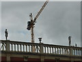 SJ7796 : An honest crane by Bob Harvey