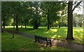 Seat and path at Westcotes Park