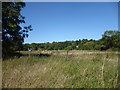 Looking towards Loudwater