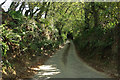 Sunken lane, Wiverton