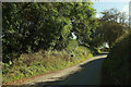 Lane at Hareston Cross