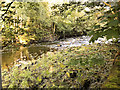 River Irwell at Brooksbottom