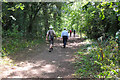 Path in Cowpen Spinney, Groby