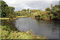 NY4156 : River Eden in Rickerby Park by Roger Templeman