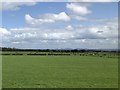 NZ2911 : Farmland near Hurworth-on-Tees by David Robinson