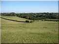 Fields above Whatcombe Farm, Frome