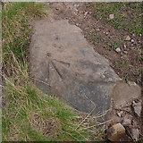 SD6720 : Bench mark, Darwen Moor by Ian Taylor