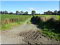 Farm track leading East from Creamery Road