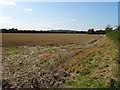 Field beside Sheep Leys Farm