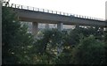 The Ware Viaduct