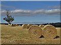 Summer Ends - by Old Hall Lane