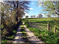 Llwybr cyhoeddus i Bencader / A public footpath to Pencader