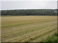 Stubble field