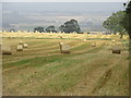 Bales near Ewnie