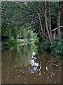 Caldon Canal north-east of Hanley, Stoke-on-Trent