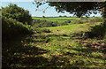 Avon valley from Diptford