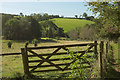 Side valley below Diptford