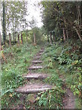 W4096 : Footpath in woodland on the slopes of Mount Hillary by Jonathan Thacker