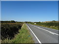 B4011 near Boarstall Wood Cottage