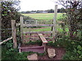 Sticil ger Ffarm Coedcanlas / Stile near Coedcanlas Farm