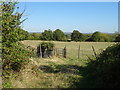 Footpath to Piddington