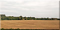 Harvested field near Askham