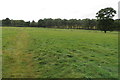 Footpath to Fringford Bridge