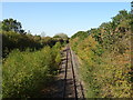 Railway towards Milton Keynes