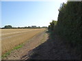 Farm track beside field, Middle Claydon