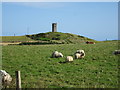 Fields and old Dovecot at Craigiefold