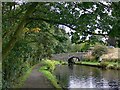 Below bridge #66 on the Huddersfield Narrow Canal 