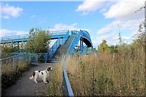 TL3759 : First sight of the A428 footbridge from the path to Dry Drayton by Martin Tester