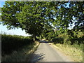 National Cycle Route 51 towards Milton Keynes